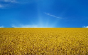 Знамя Великой Украины