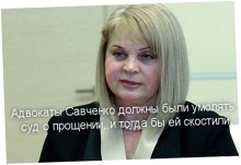 Элла Памфилова обвинила адвокатов