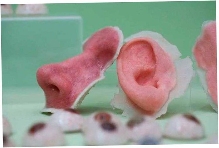 3D печать органов