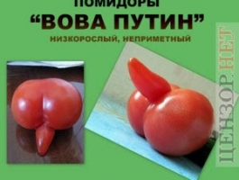 jaba2