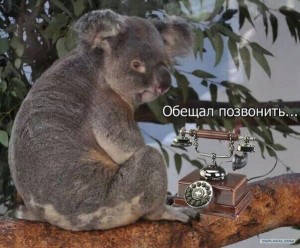 Народный юмор не знает пощады