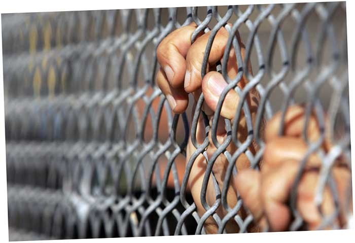 Что они пишут, и что мы читаем