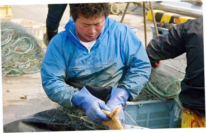 Лучший пример