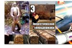 Thumbnail for the post titled: Закон о сборе валежника