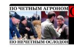 Thumbnail for the post titled: Трудовые будни жабогадюкинга — болеем за обеих