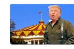 Thumbnail for the post titled: Павлин запустил режим приготовления попкорна