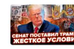 Thumbnail for the post titled: Если эта инициатива будет поставлена на голосование