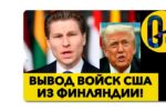 Thumbnail for the post titled: Вы уверены, что Павлину нужны какие-то основания?