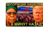 Thumbnail for the post titled: Начало исправления прилетело именно по петушарне